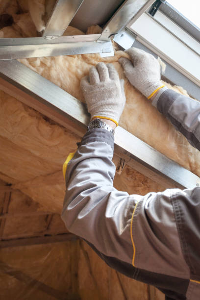 Best Eco-Friendly Insulation in USA